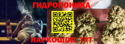 mdma Аргун