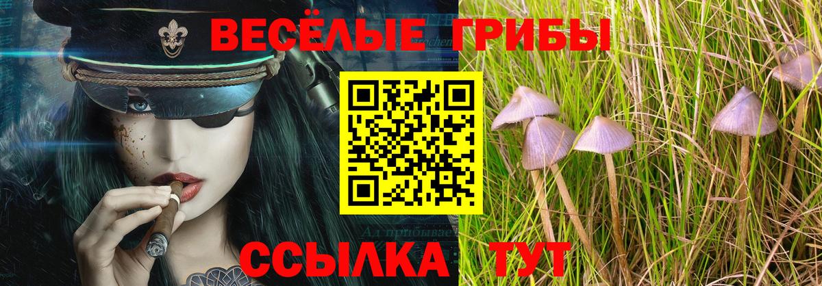 Галлюциногенные грибы GOLDEN TEACHER Богородицк